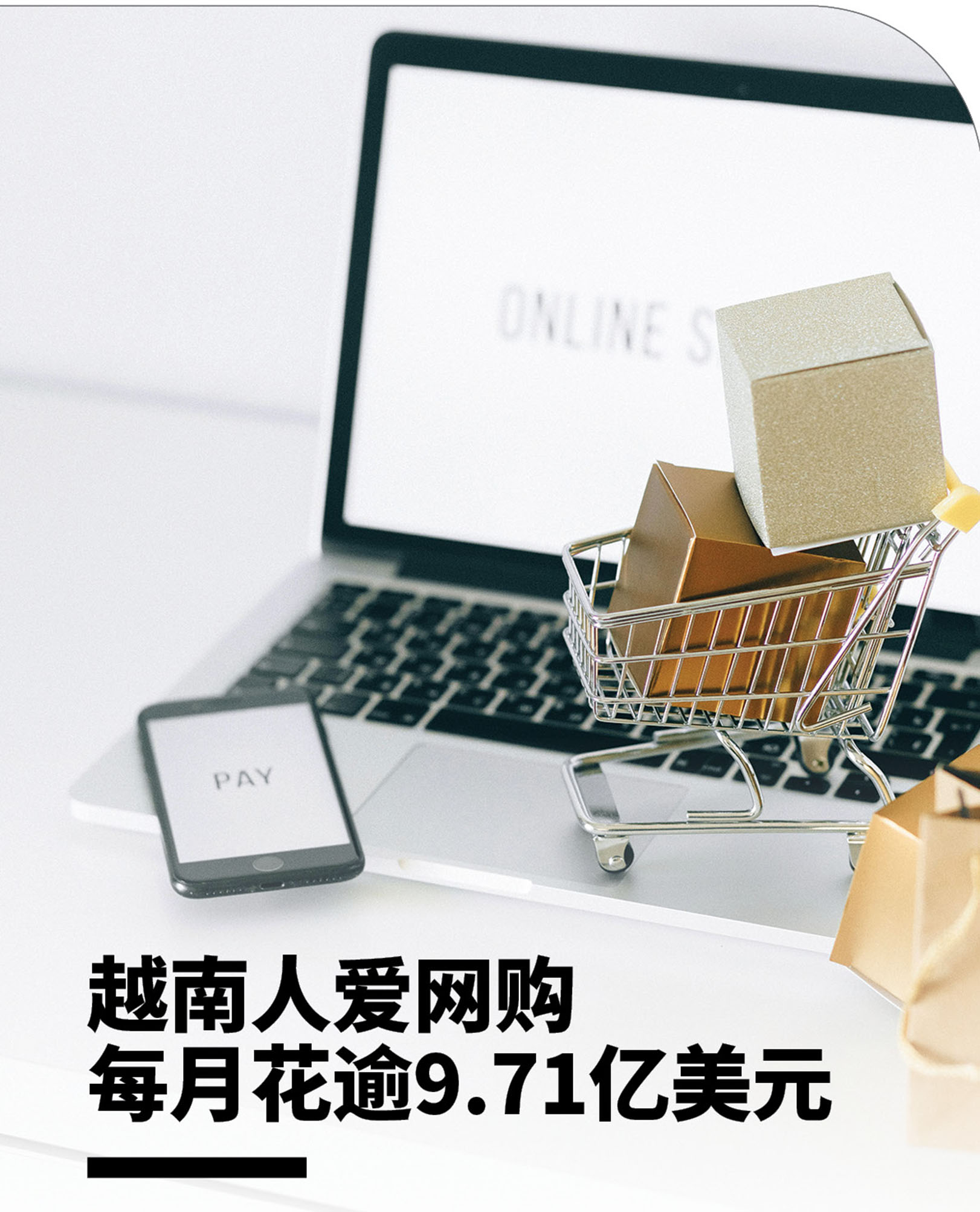 越南人爱网购每月花逾9.71亿美元