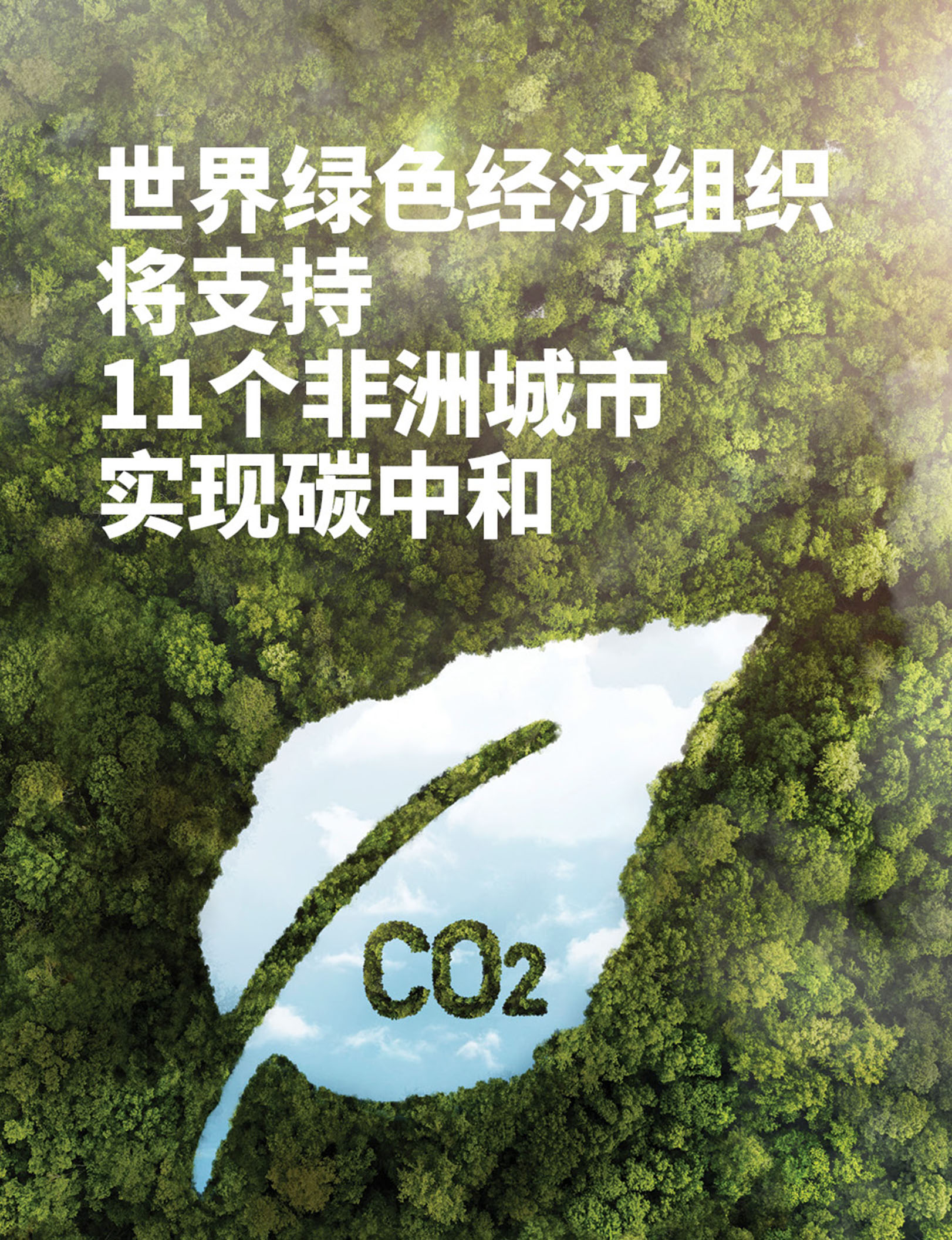 世界绿色经济组织将支持11个非洲城市实现碳中和